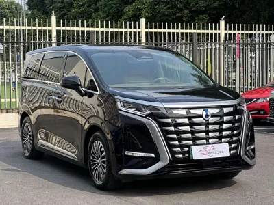 Denza D9