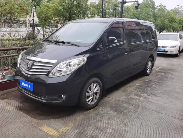 Forthing Lingzhi PLUS