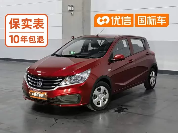 Baojun 310