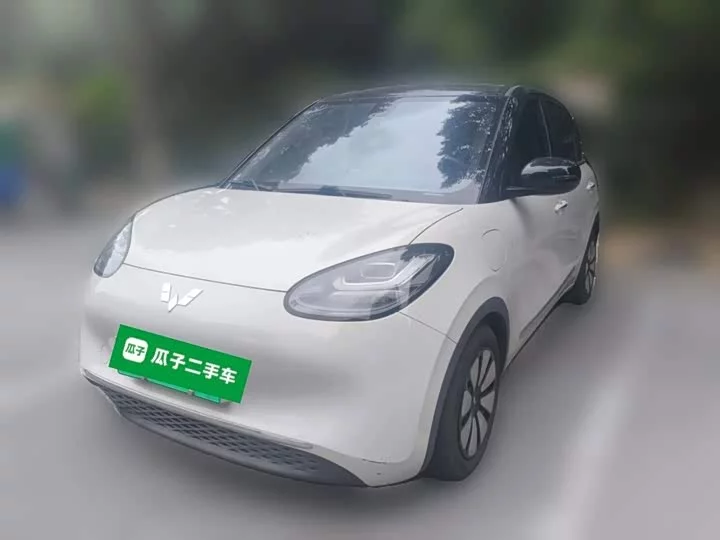 Wuling Bingo