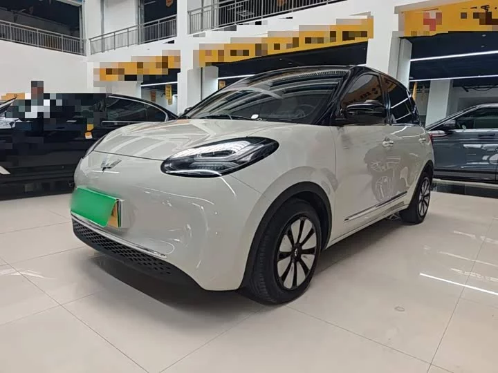 Wuling Bingo