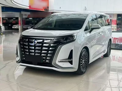 Denza D9