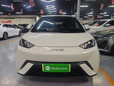 BYD Seagull