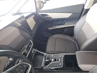 BYD Song MAX New Energy