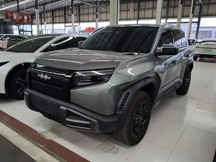 BYD Leopard Titanium 3