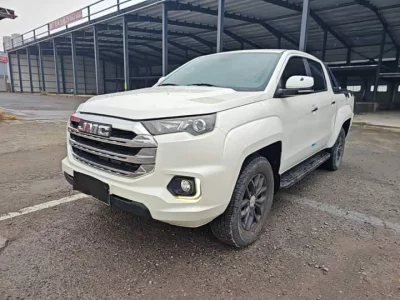 Jiangling Domain Tiger 7