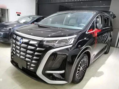 Denza D9, 2023 — купить с доставкой из Китая