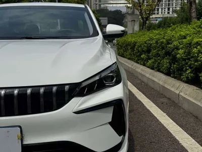 Geely Binrui