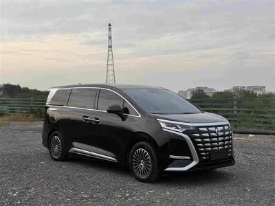 Denza D9, 2024 — купить с доставкой из Китая