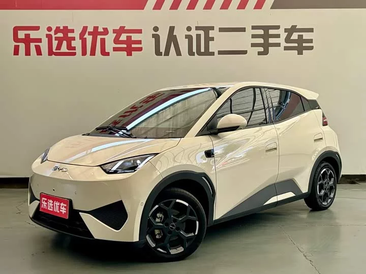 BYD Seagull