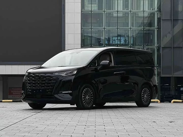 Denza D9