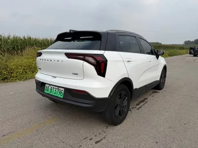 Geely E firefly