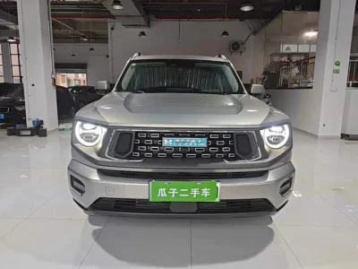 Haval Big Dog PLUS New Energy
