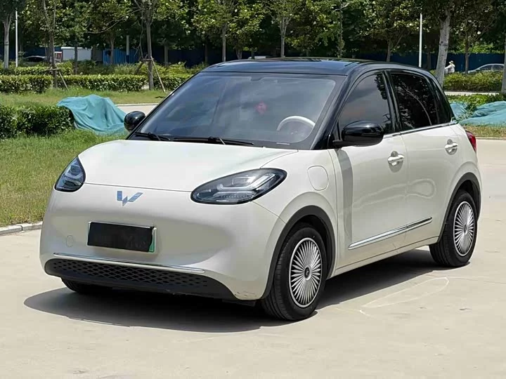 Wuling Bingo