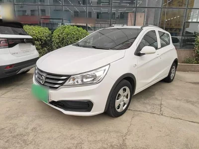 Baojun 310