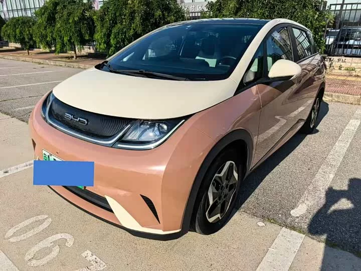 BYD Dolphin