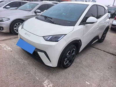 BYD Seagull