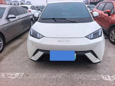 BYD Seagull