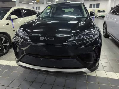 BYD Dolphin 07 DM-i