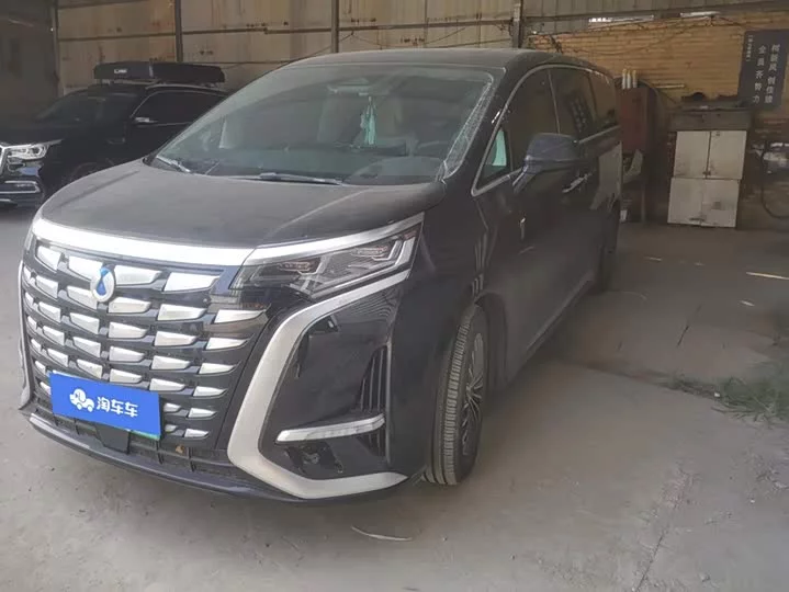 Denza D9