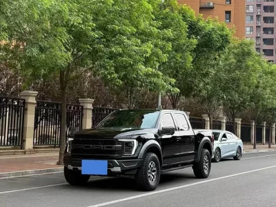 Ford F-150 Raptor, 2023 — купить с доставкой из Китая