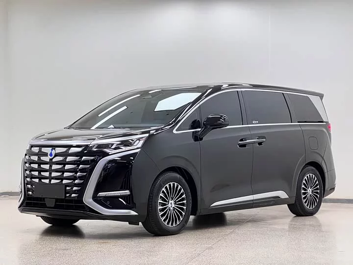 Denza D9