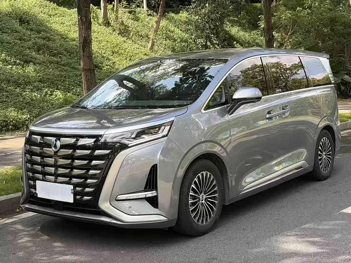 Denza D9