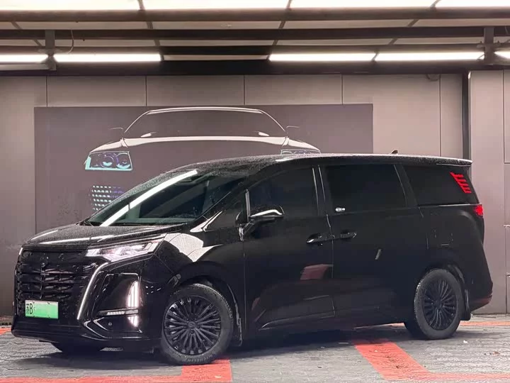 Denza D9