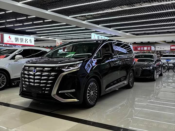 Denza D9