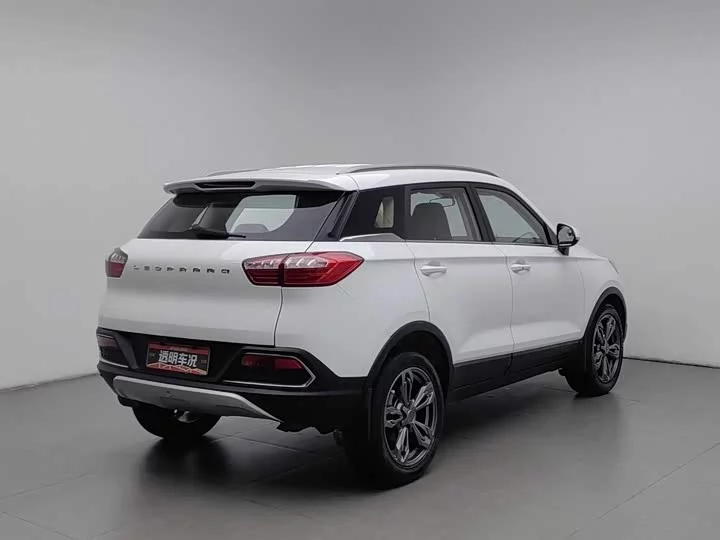 Leopaard Cheetah CS9