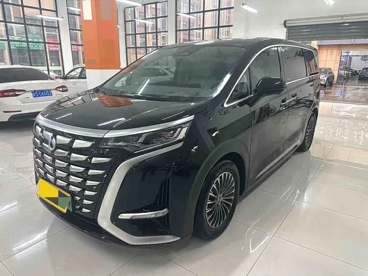 Denza D9