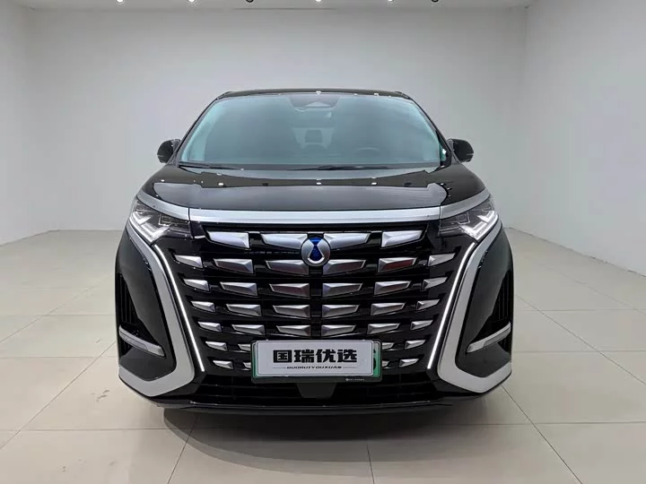 Denza D9