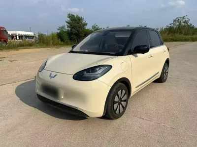 Wuling Bingo