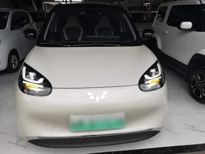 Wuling Bingo