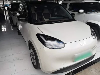 Wuling Bingo
