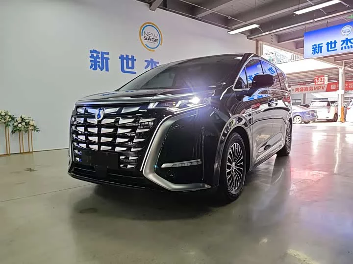 Denza D9