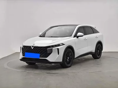 Venucia Big V, 2023 — купить с доставкой из Китая
