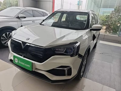 Venucia T60EV, 2024 — купить с доставкой из Китая