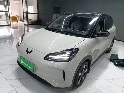 Wuling Bingo PLUS