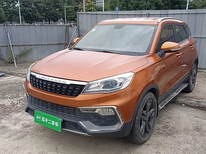 Leopaard Cheetah CS9