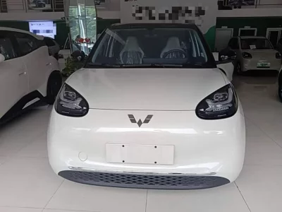 Wuling Bingo