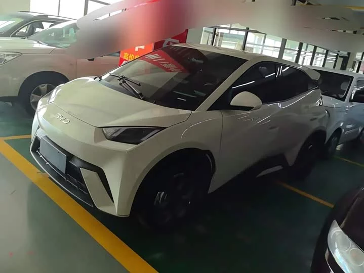 BYD Seagull