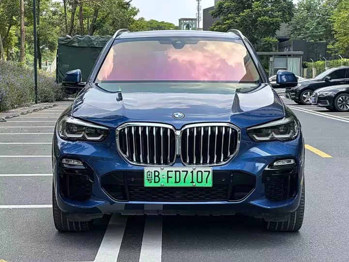 BMW X5 New Energy