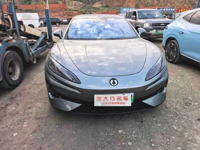Denza Z9GT