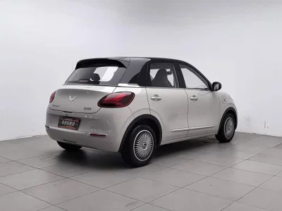 Wuling Bingo