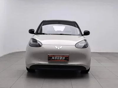 Wuling Bingo