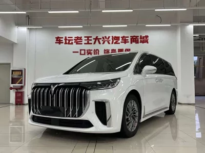 Voyah Dream, 2024 — купить с доставкой из Китая