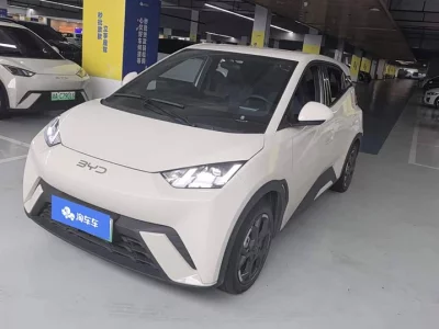 BYD Seagull