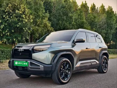 BYD Leopard Titanium 3