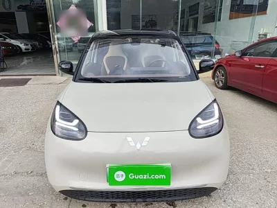 Wuling Bingo